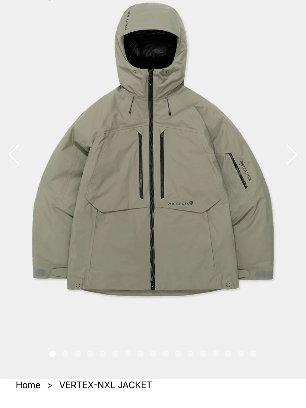 Vertex GORETEX Ski Jacket